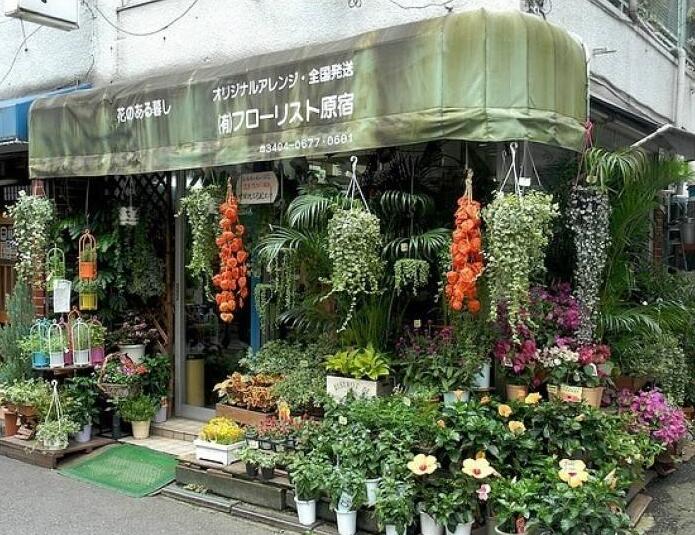 90后美女在閣樓開店鋪！房間太破，奇思妙想用各種植物來掩蓋